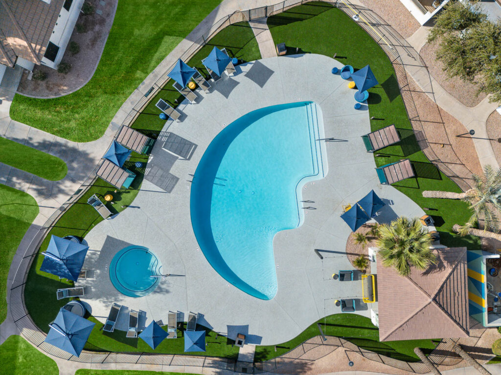 Pool with deck seating and large palm trees